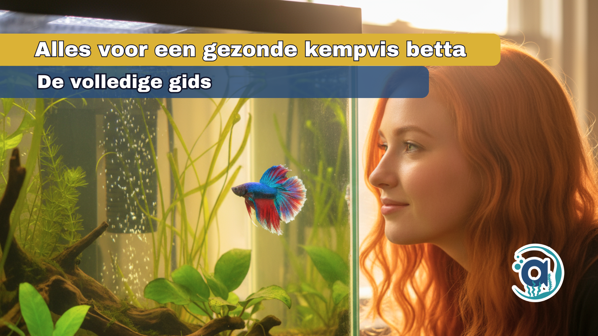 Alles wat je moet weten voor een gezonde kempvis betta