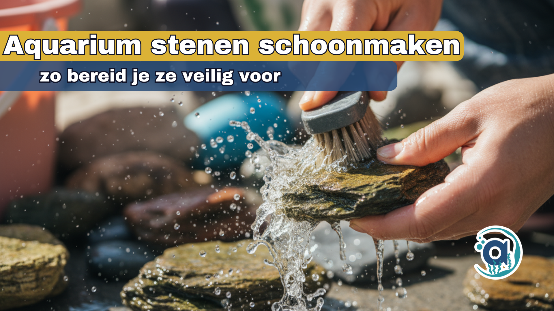 Aquarium stenen schoonmaken: zo bereid je ze veilig voor