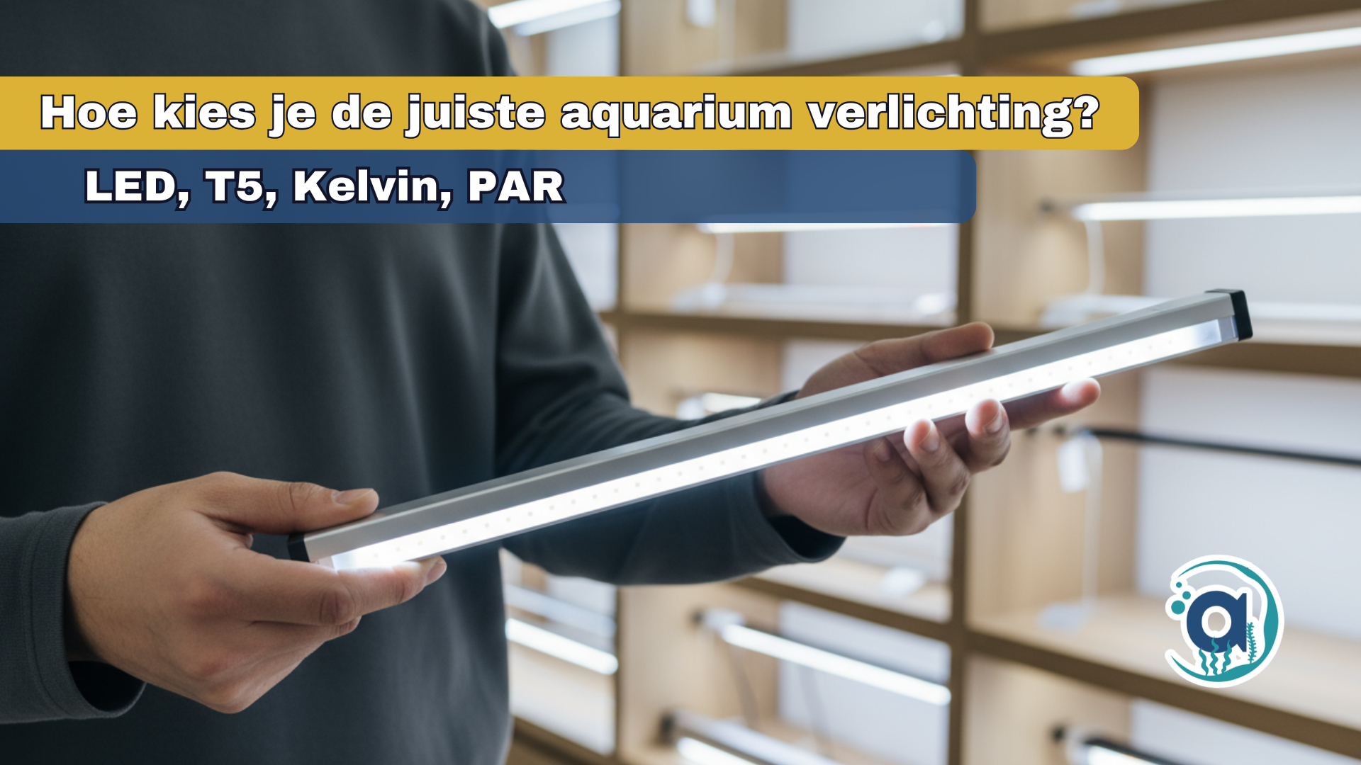 Hoe kies je de juiste aquarium verlichting?