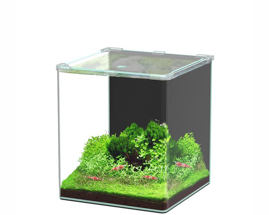 Aquatlantis Kubus Curve Basic 30L