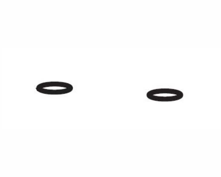 Aquatlantis O-Ring Slangadapter Tbv Cleansys Pro 730/850