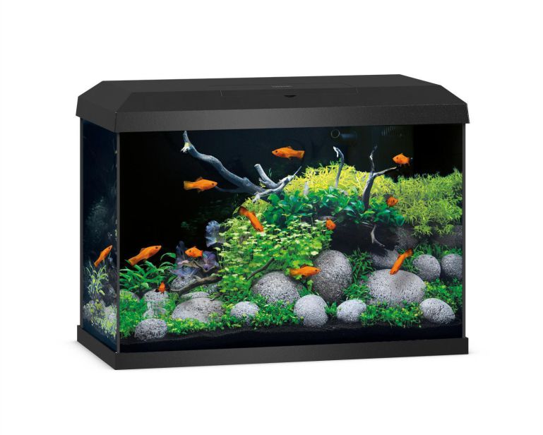 Juwel Aquarium Primo 70 2.0 Zwart