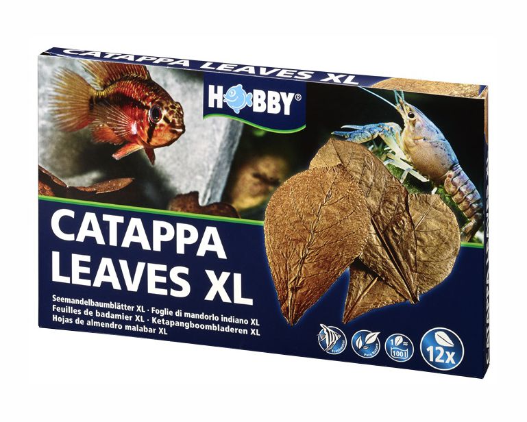 Hobby Nano Catappa Leaves XL 12 St