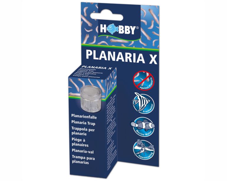 Hobby Planaria X