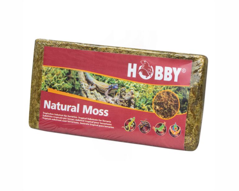 Hobby Terrano Natural Moss 100 G