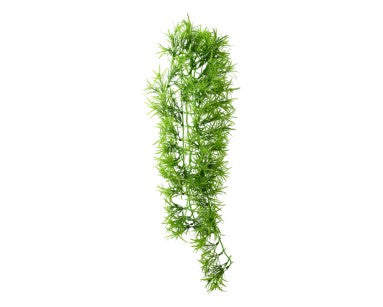 Hobby Terrano Climber Tropica, Hangend, 70 CM