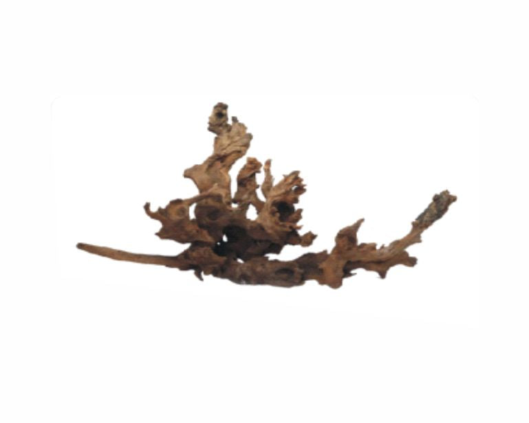 Wabi Kusa Drift Wood 5-12 CM Per 2 St.