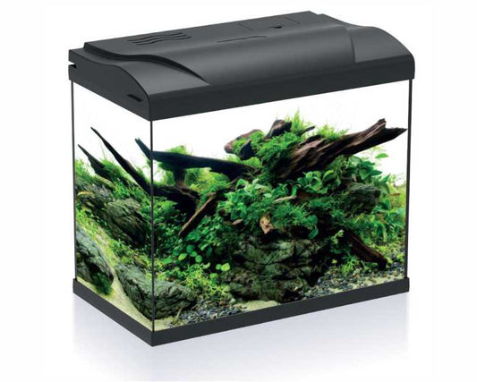 Hs Aqua Aquarium Platy 30 LED Zwart 39X22X36 CM