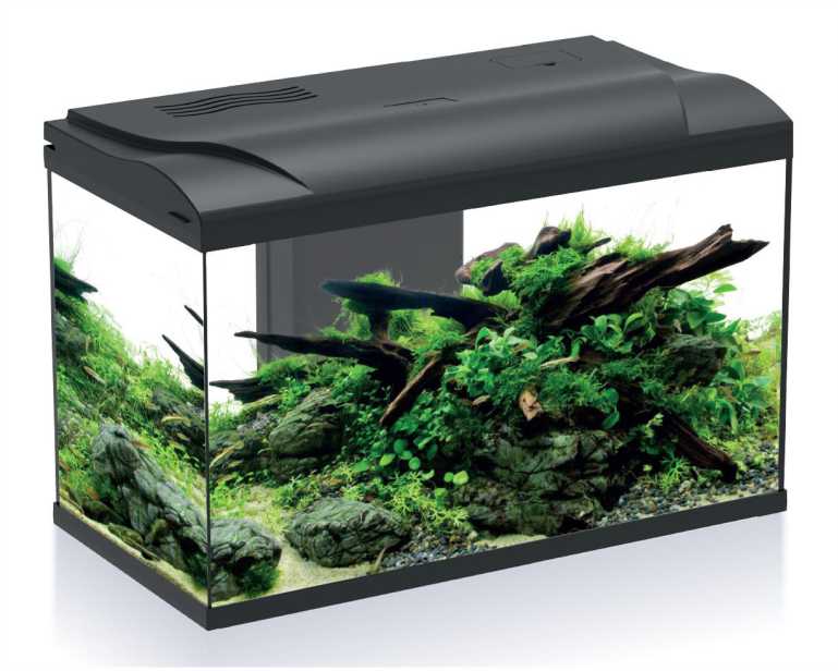 Hs Aqua Aquarium Platy Bio 70 LED Zwart 59X31X39 CM