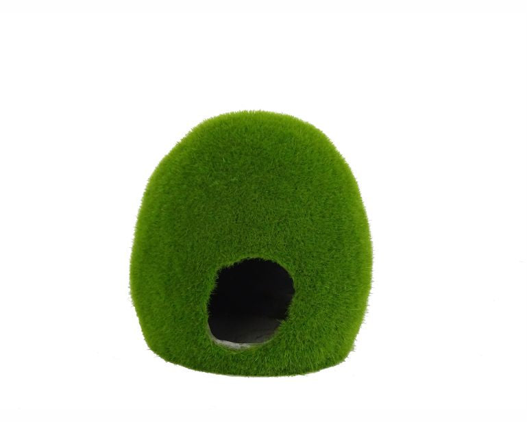 Blue Belle Pacific Mossy Hole M 10.3X9.6X10.4 CM