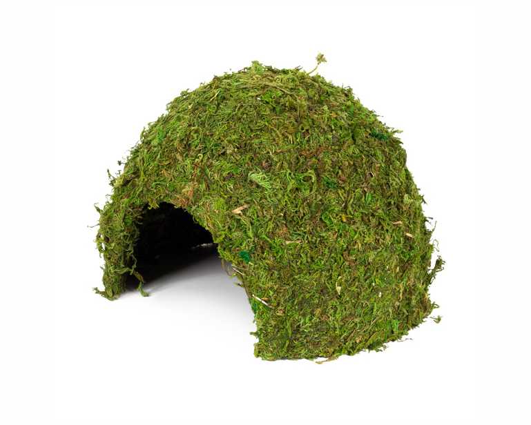 Hobby Terrarium Jungle Cave 2 17X17X12 CM