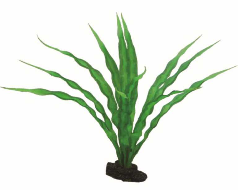 Hobby Plant Crinum 29 CM