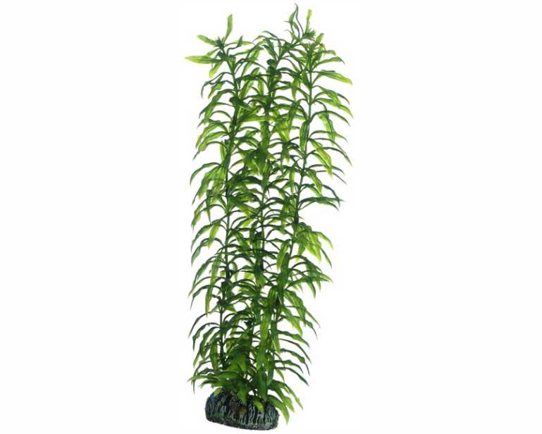 Hobby Plant Heteranthera 34 CM