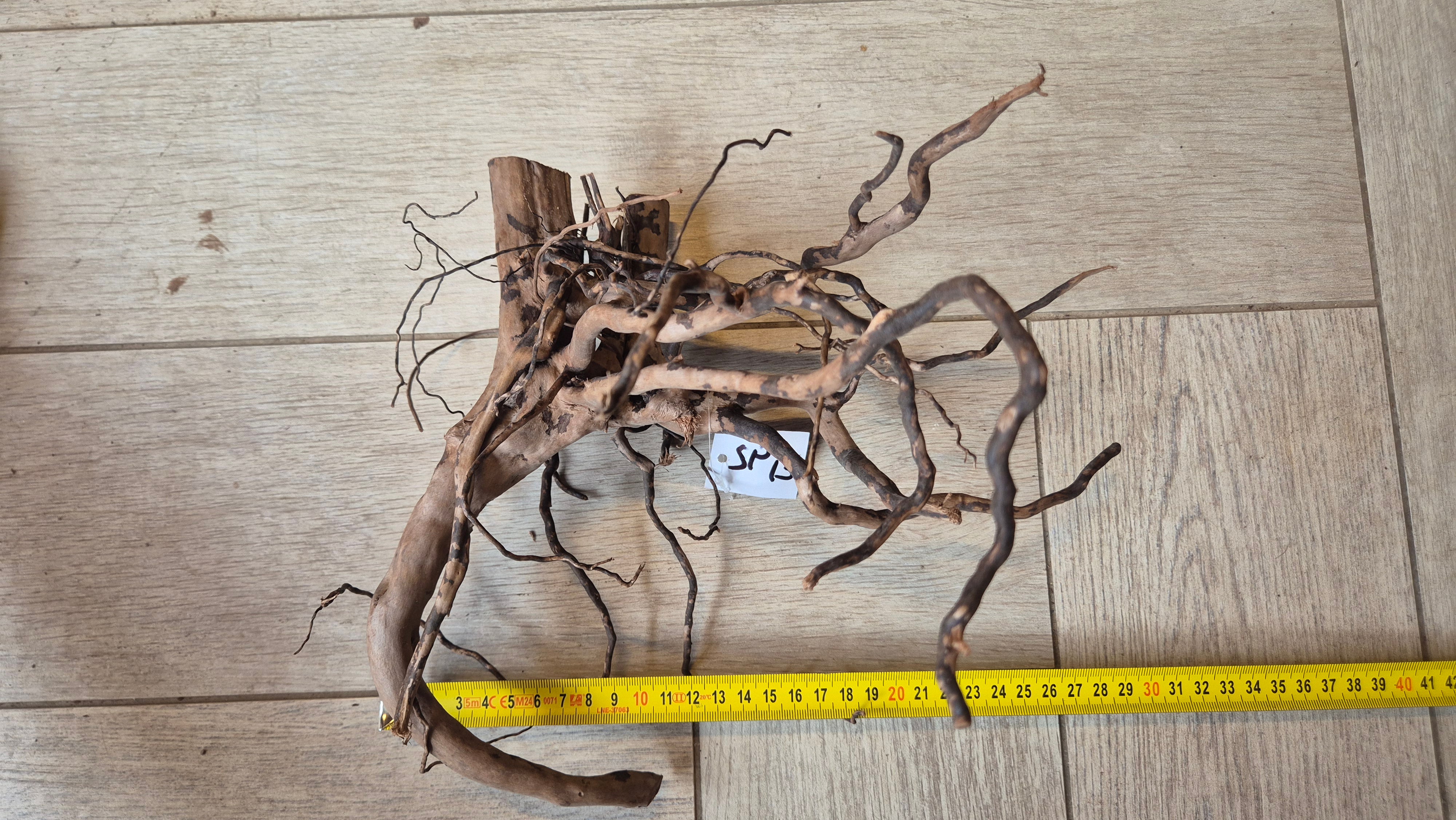 Spiderwood dark SP13