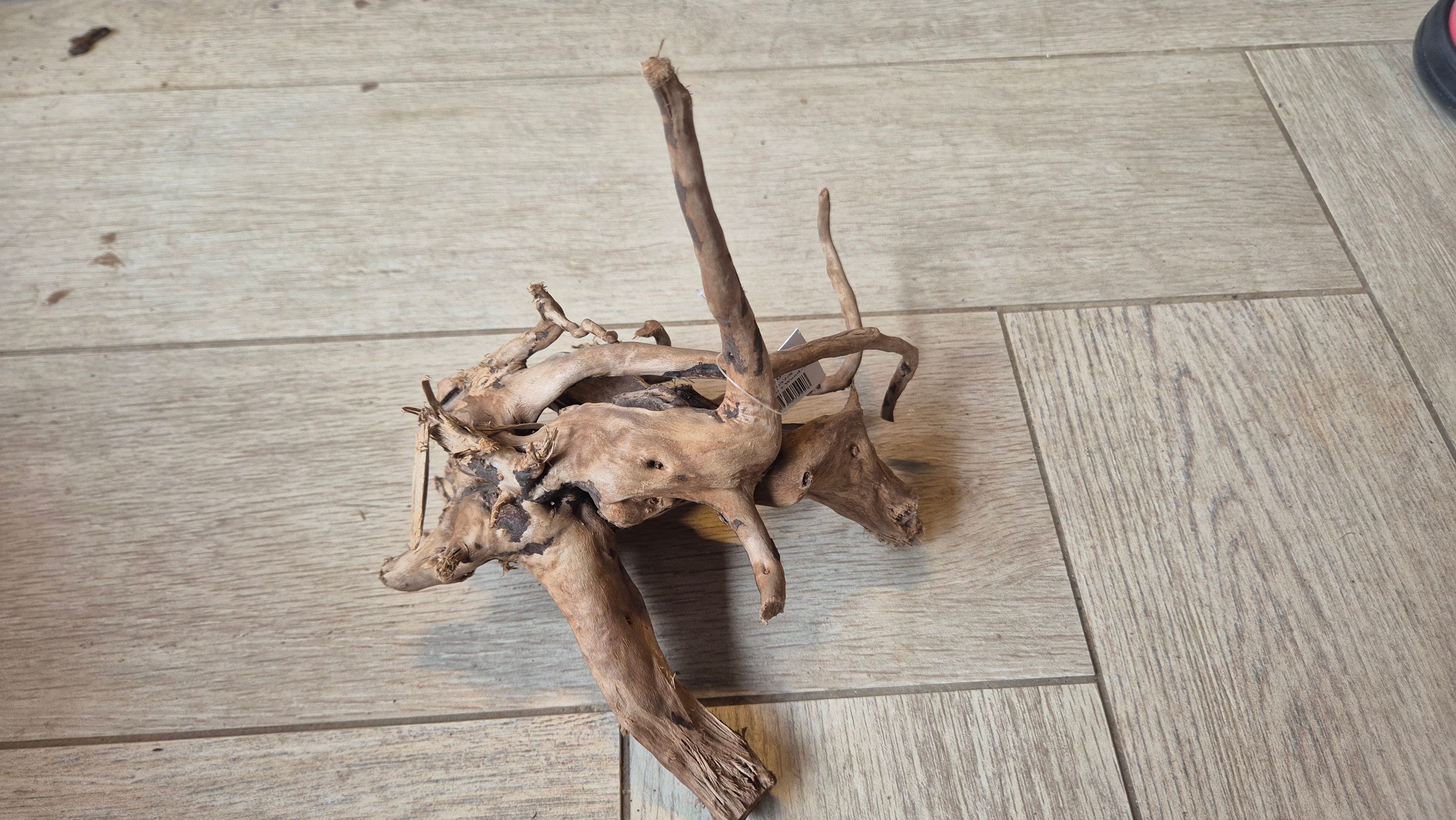 Spiderwood dark SP14