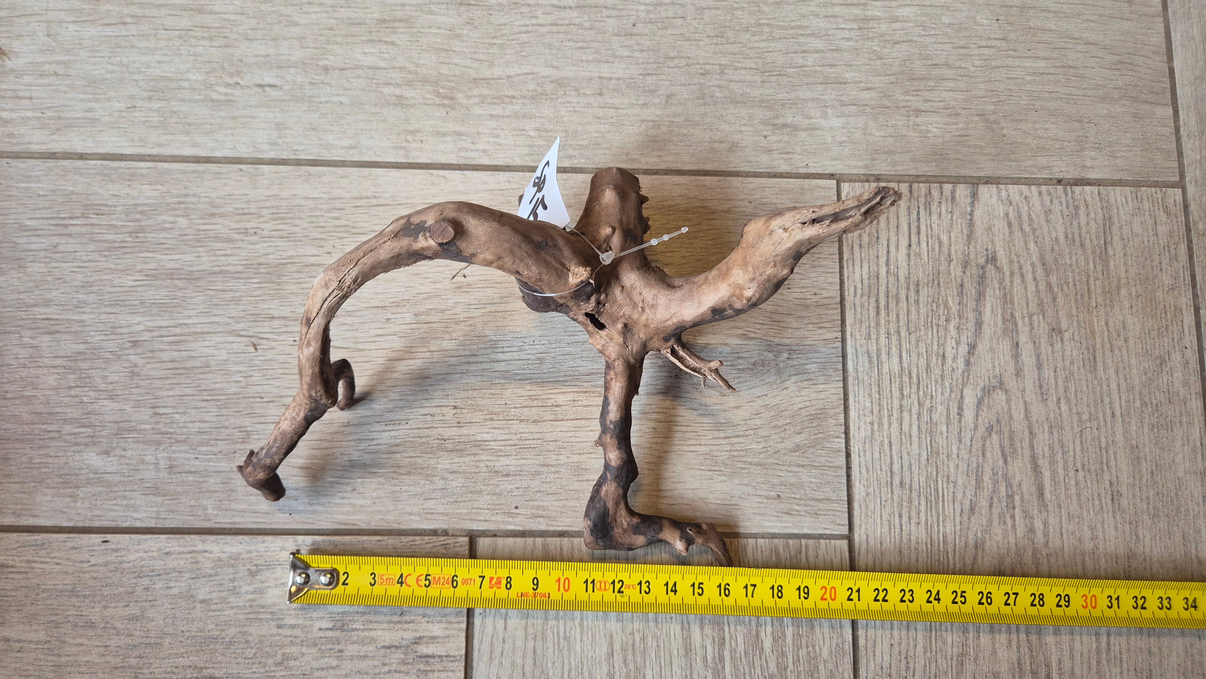 Spiderwood dark SP15