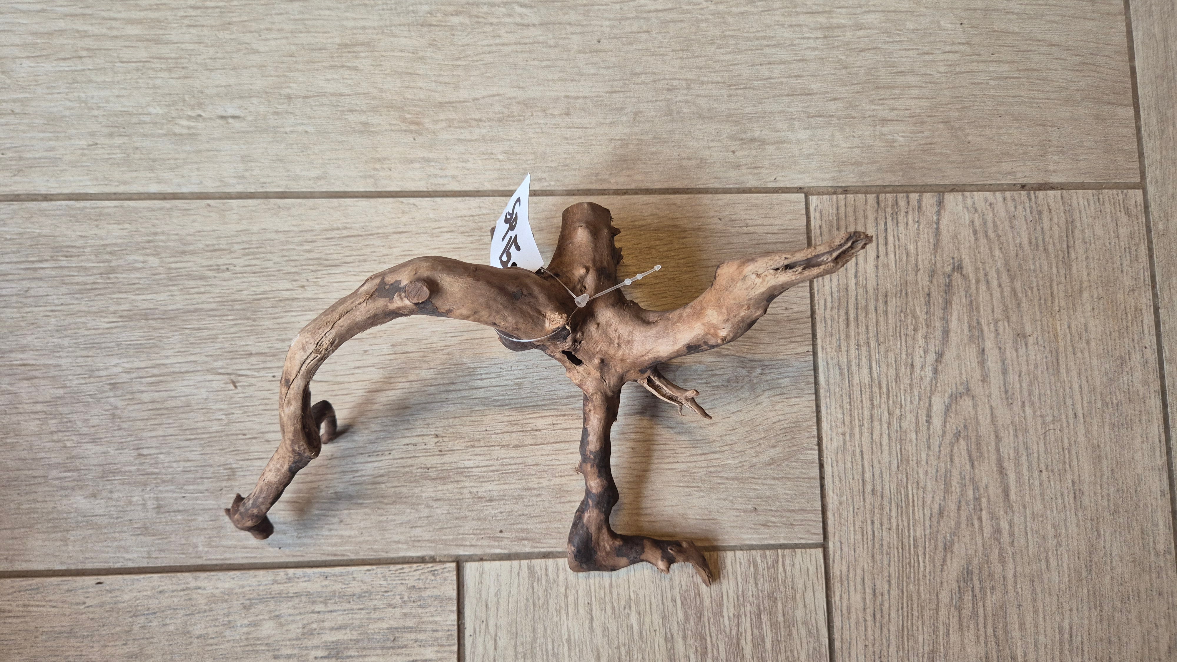 Spiderwood dark SP15