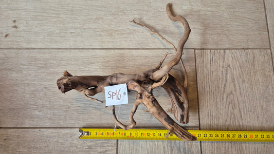 Spiderwood dark SP16