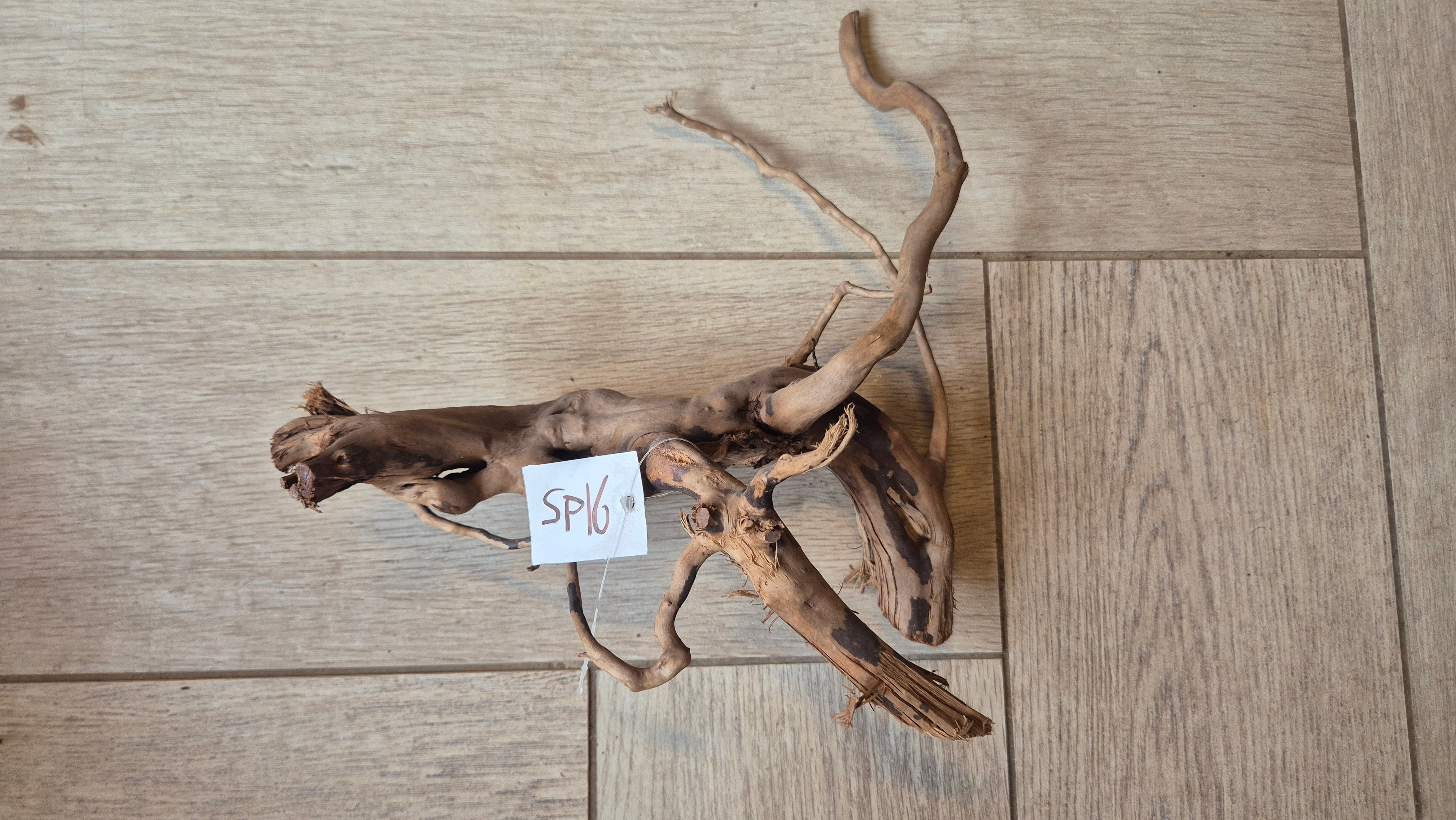 Spiderwood dark SP16