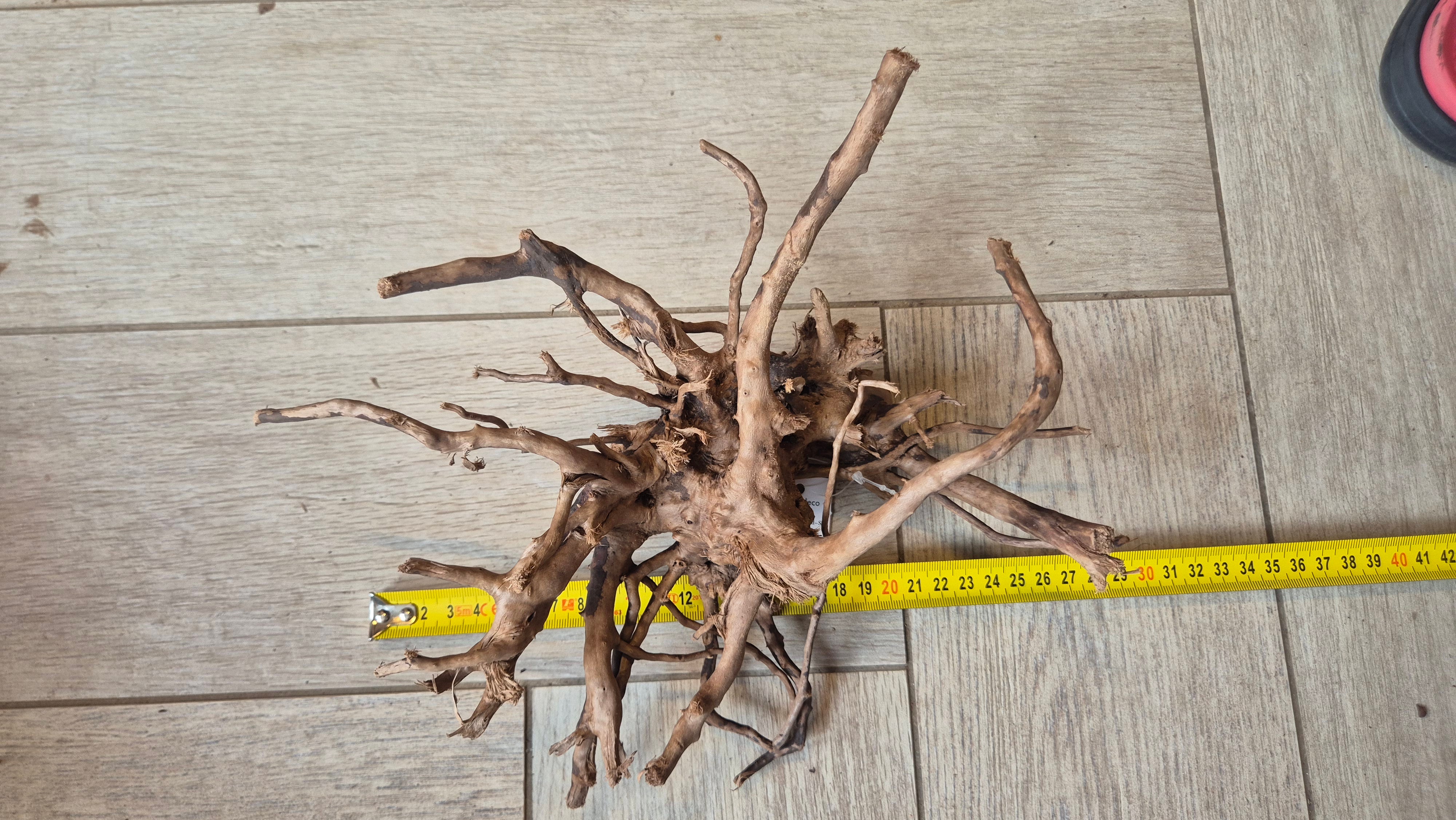 Spiderwood dark SP18