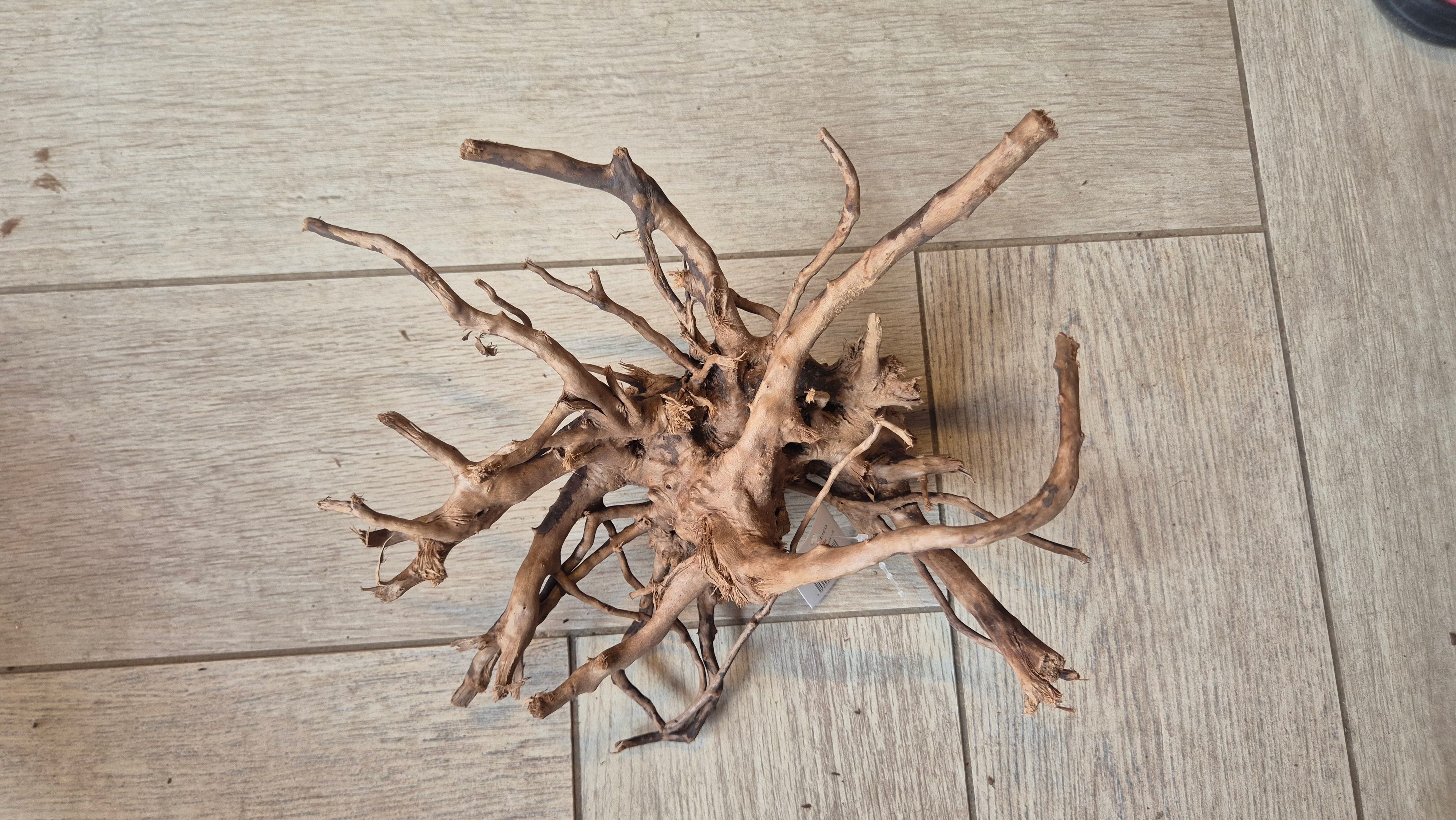 Spiderwood dark SP18