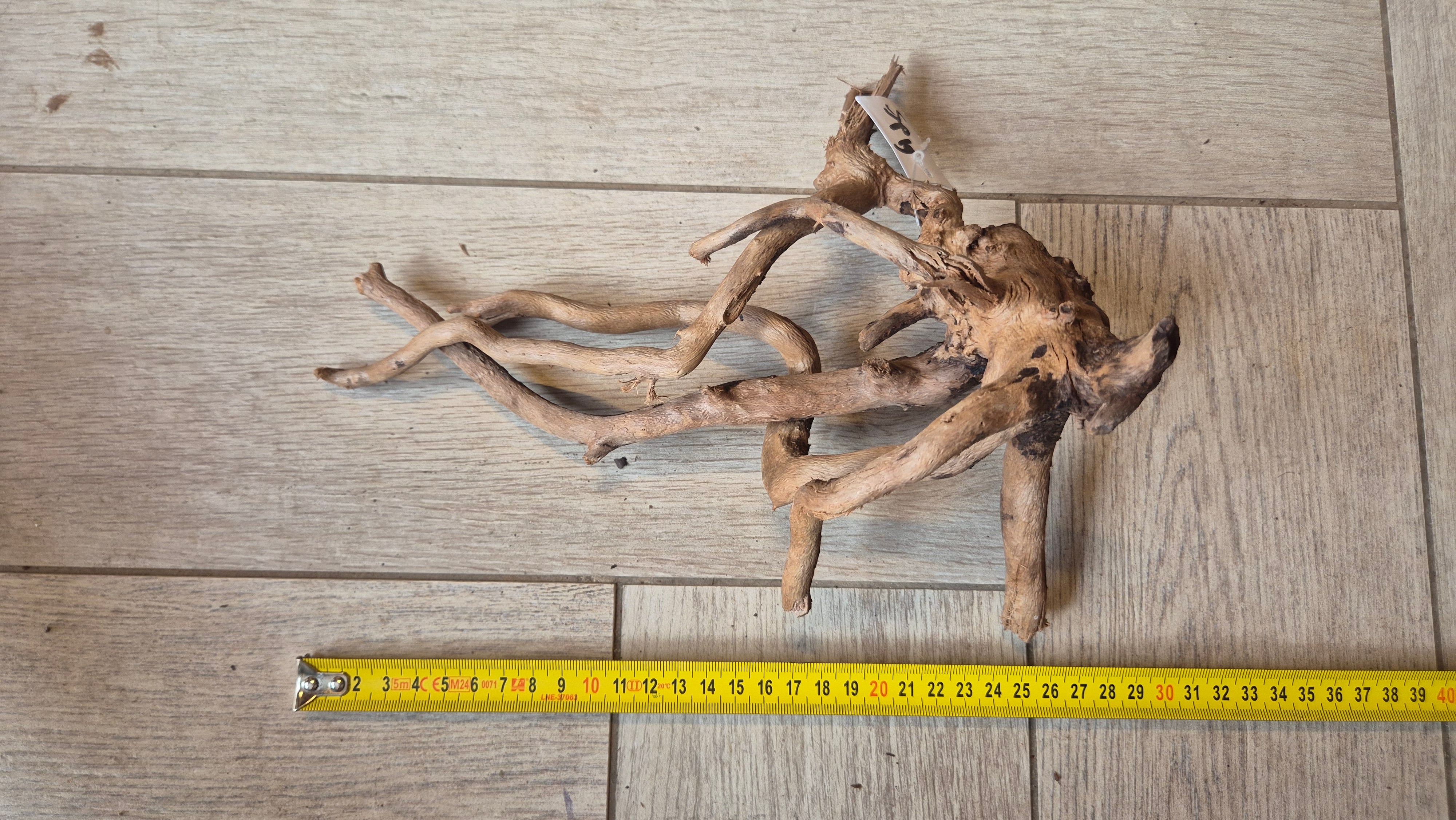 Spiderwood dark SP19