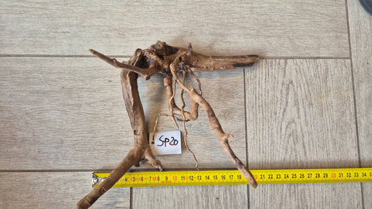 Spiderwood dark SP20
