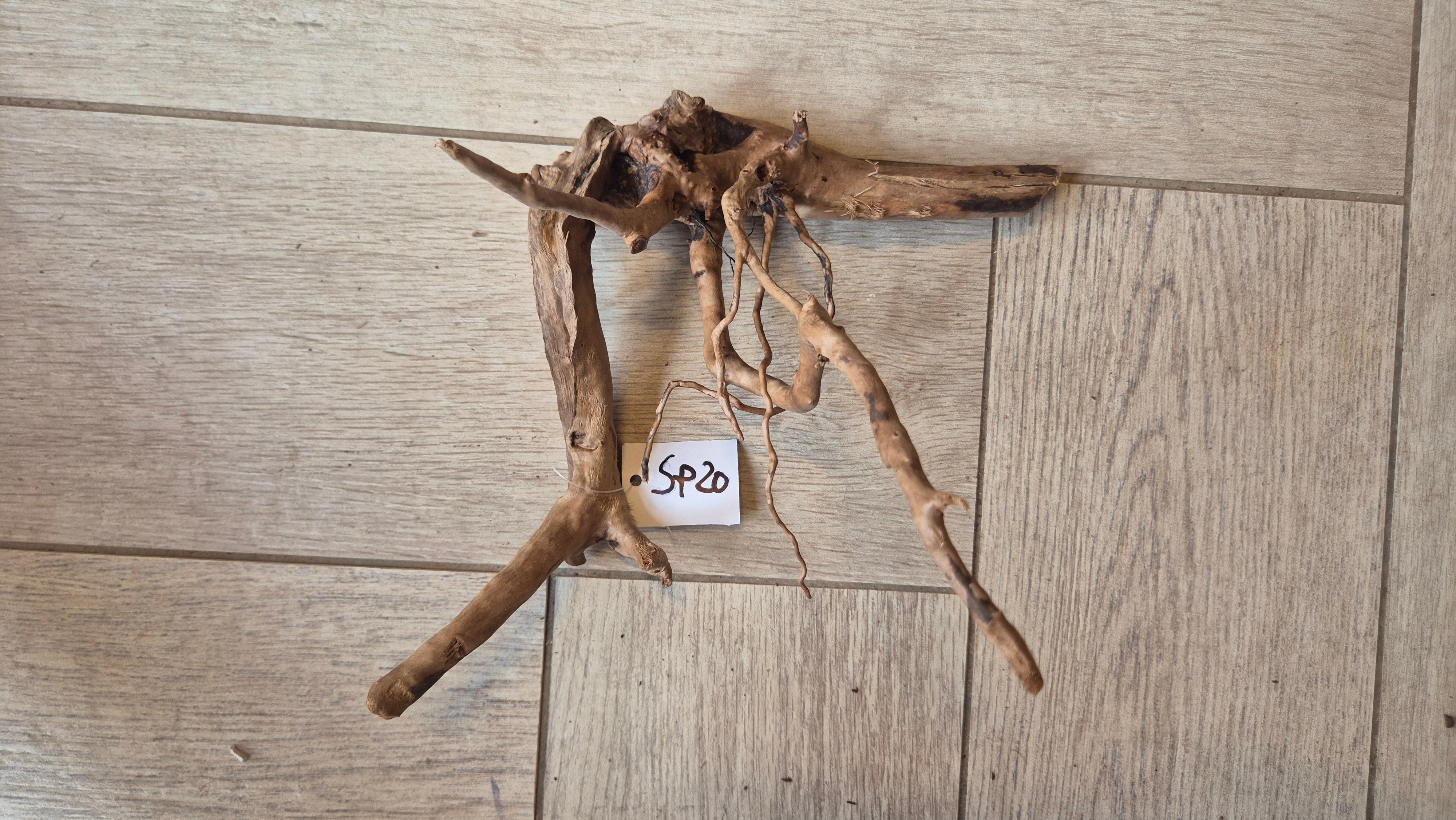 Spiderwood dark SP20