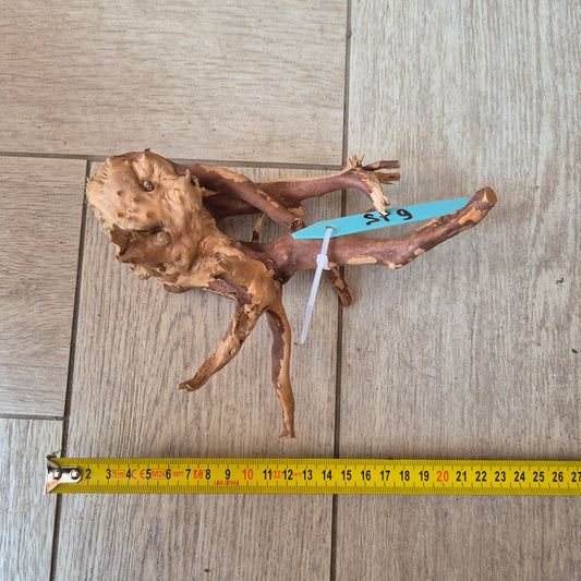 Spider Wood Red SP9