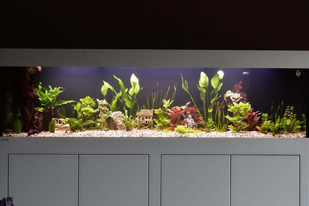 Aquatic Plant Solution All In One Plant Food