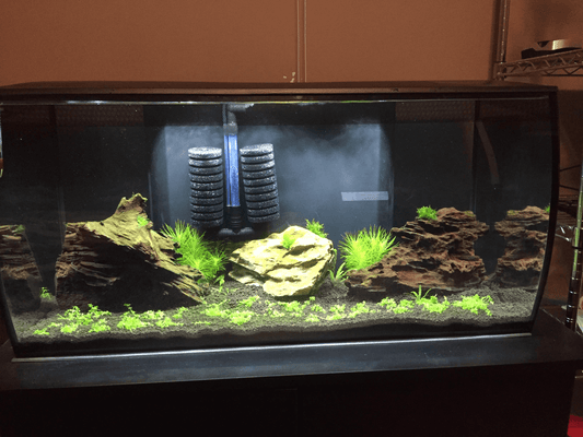 Hobby Bubble Air Filter