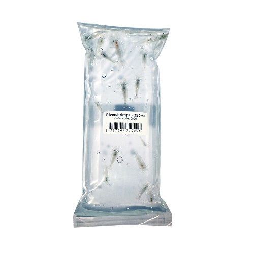 Voedergarnalen levend