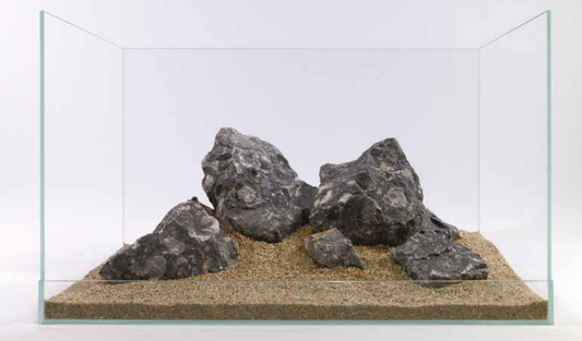 Black snail stone