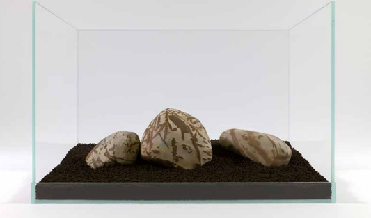 Shodo steen