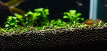 Flora Mano Base Black