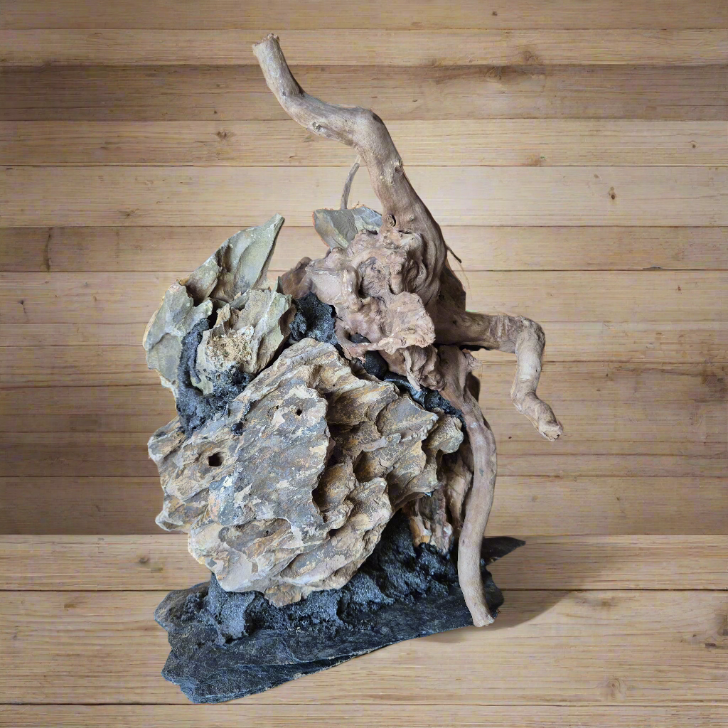 Dragon stone met spiderwood