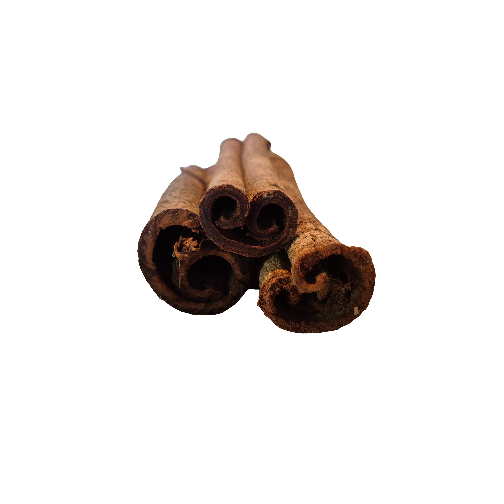 Catappa hout