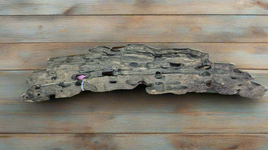 Dragonwood