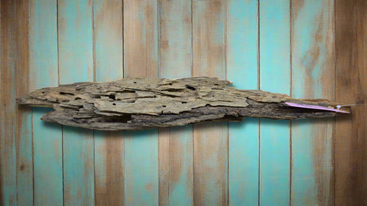 Dragonwood