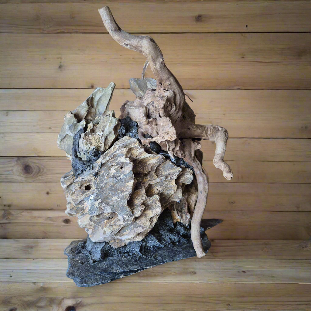 Dragon stone met spiderwood