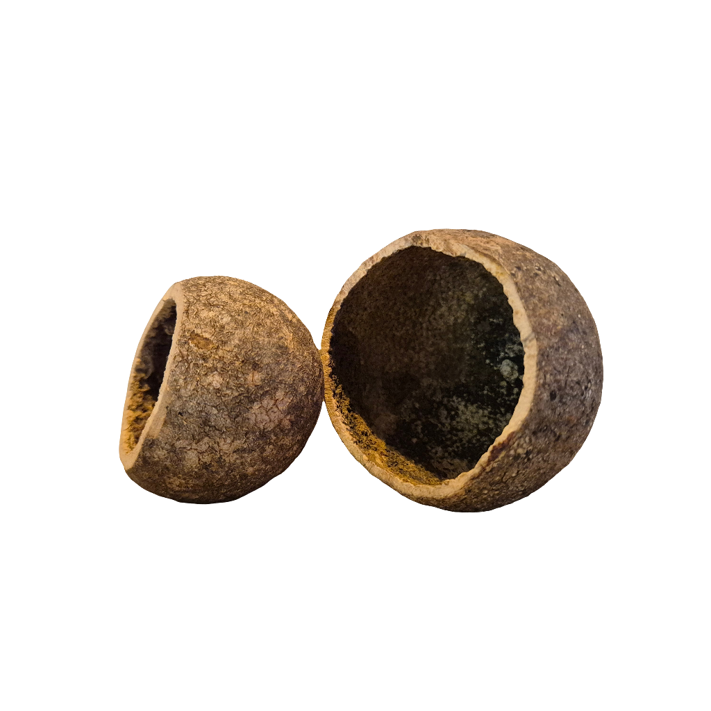 Apple wood schuilplaats