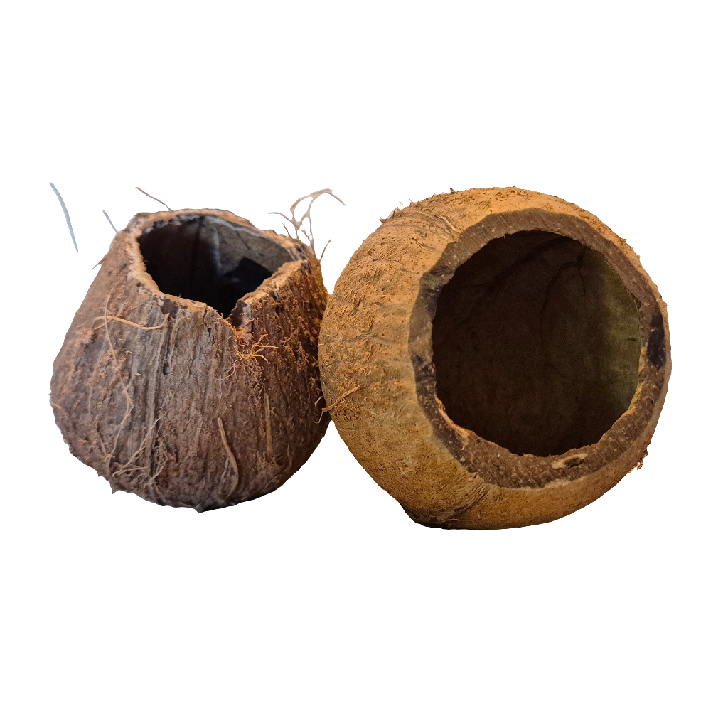 Kokosnoot grot 3/4e