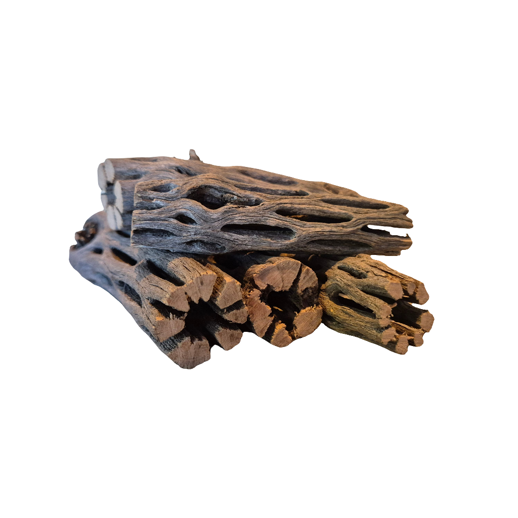 Cholla wood