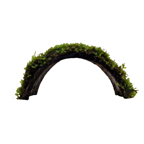 Java moss on coconut bridge