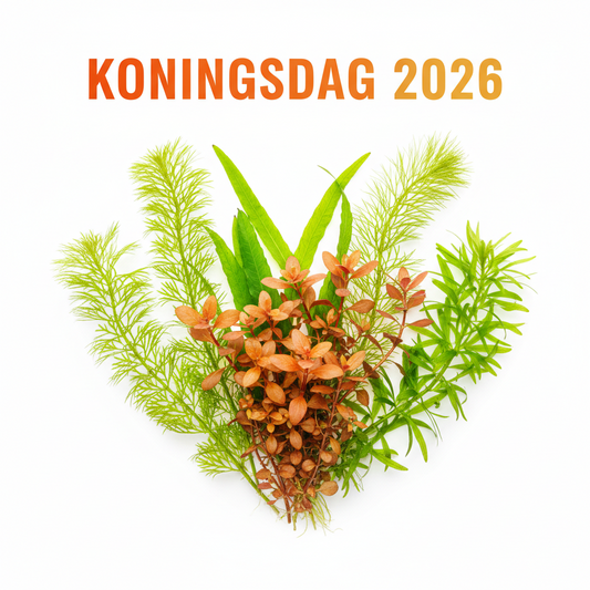 Het Oranje Pakket
