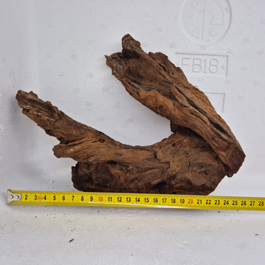 Mangrove MN-10