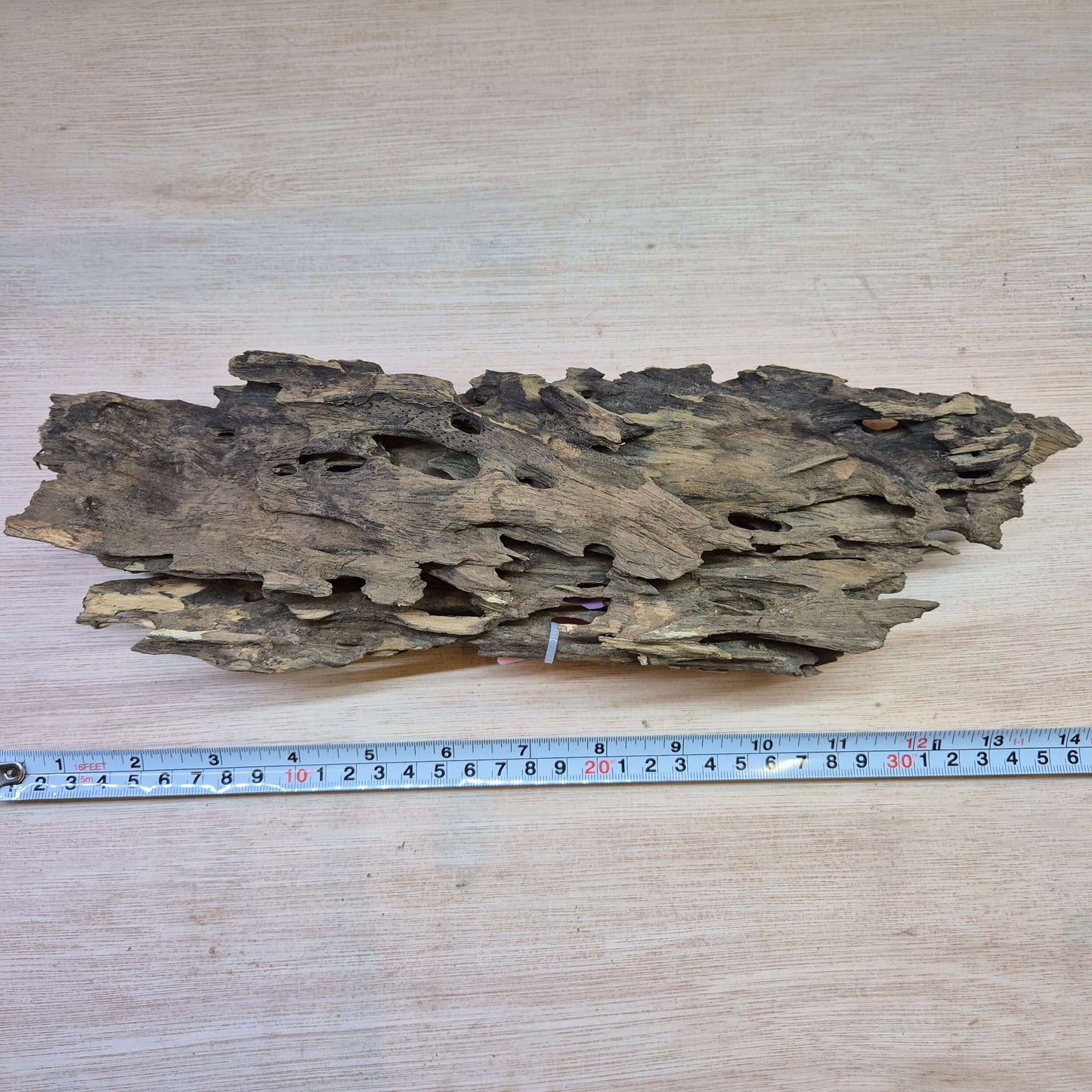 Dragonwood