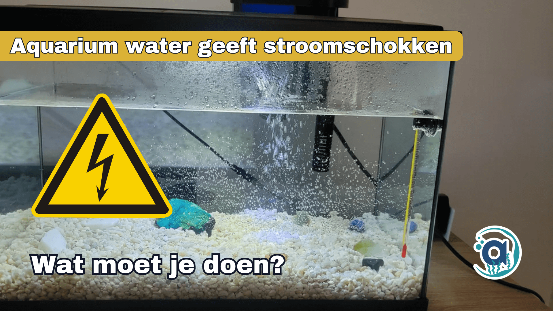 Aquarium geeft stroom schokken