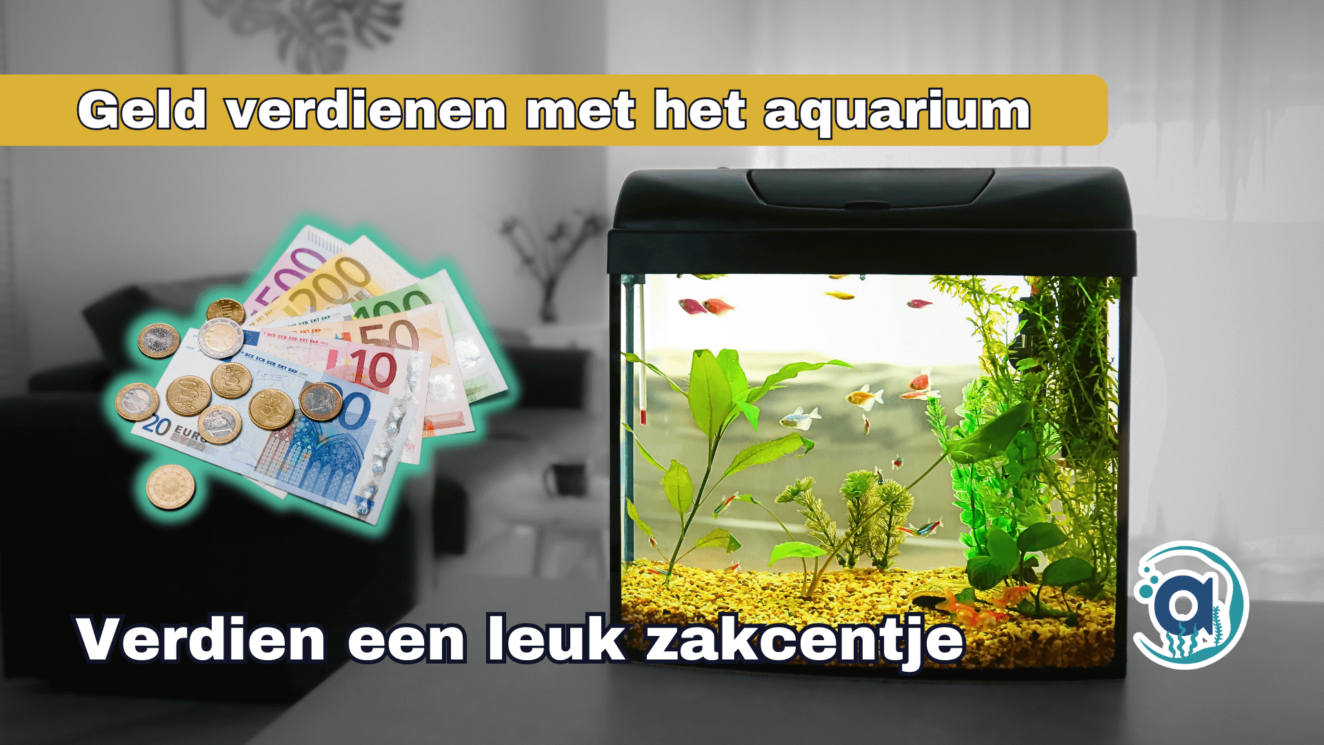 Geld verdienen met aquarium