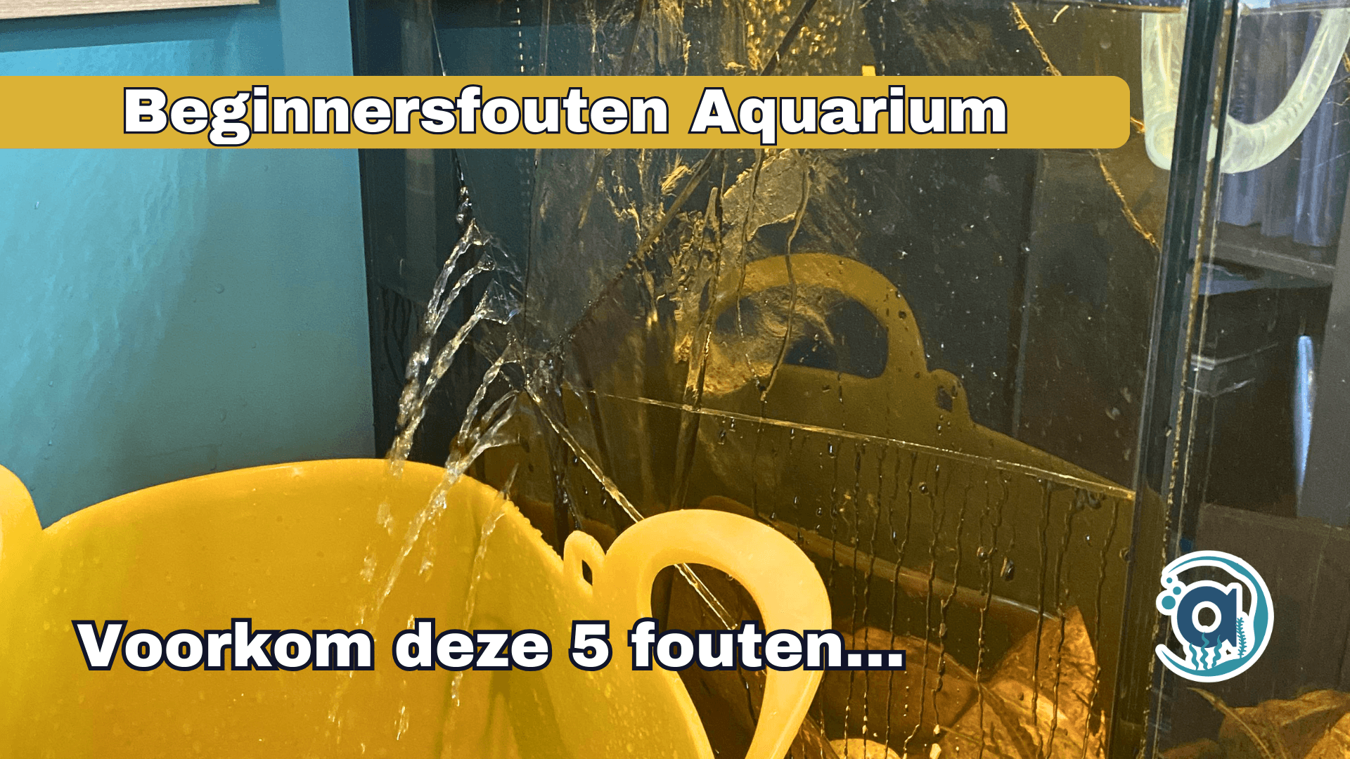 Meest gemaakte fouten aquarium